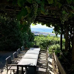  Vakantieboerderij Agriturismo Fattoria Montecontessa